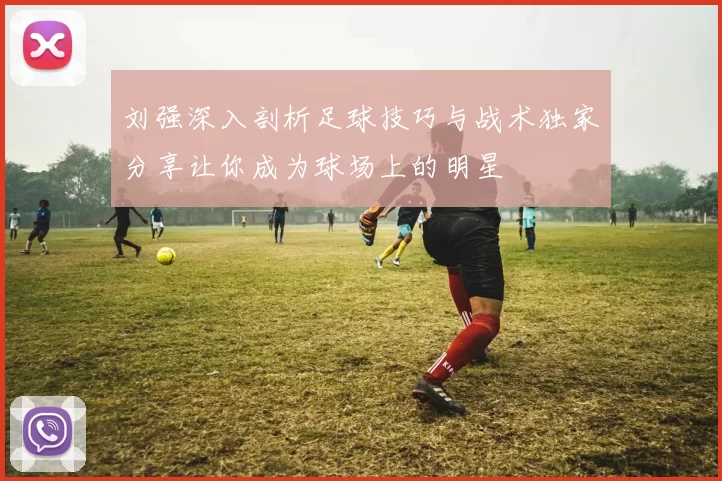 刘强深入剖析足球技巧与战术独家分享让你成为球场上的明星